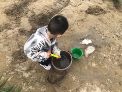 -洨河生态公园