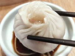 鲜肉小笼汤包-一品小笼(金融街店)
