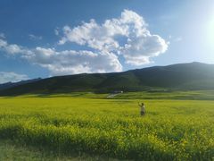 -扁都口生态休闲旅游区