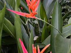 -人民公园(罗湖区)