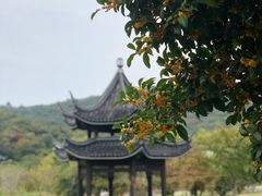-龙寺生态园