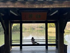 -西溪国家湿地公园