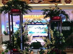-江门新会碧桂园凤悦凤凰酒店(万达广场店)