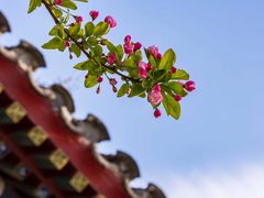 -海棠花溪(元大都城垣遗址公园)