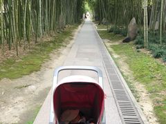 -上海市龙华烈士陵园