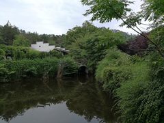 -黄陂区野村谷景区