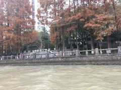 -运河游船(武林门码头)