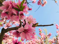 -兰溪小馆(东直门簋街店)