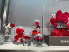 -ROSEONLY诺誓(广州K11店)