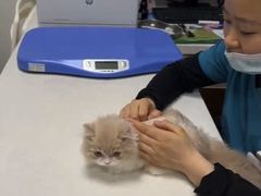 -艾贝尔宠物医院 ·中兽医·宠保定点(北门桥店)