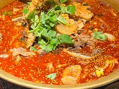 -张翻越·川渝冒菜·武汉黑鸭煲(城北万象城店)