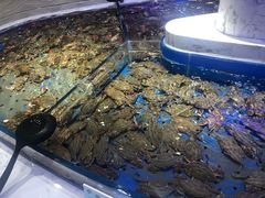 -澜悦港海鲜体验主题餐厅