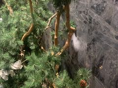 -钱塘宴(东站西子国际店)