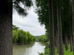 -上海月湖雕塑公园