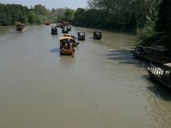 -溱湖国家湿地公园