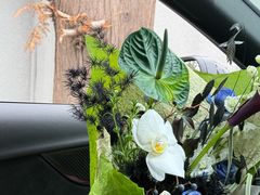 -小魚花店