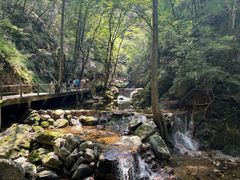 -牛背梁国家森林公园