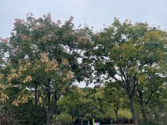 -尚贤河湿地