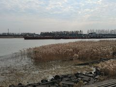 -江滩湿地公园