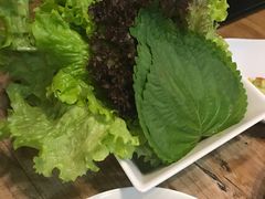 -向阳庄烧烤店(望京西园店)