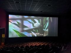 -AMG海上明珠影城(上海环球港RealDCinema店)