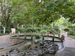 -成都市活水公园