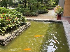 -南宁荔园维景国际酒店·荔园中餐厅
