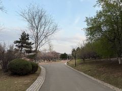 -莫子山公园