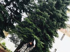 -谢尔盖圣三一大修道院