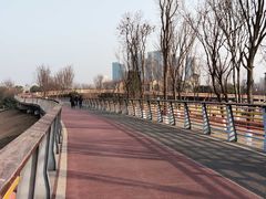 -府河摄影公园