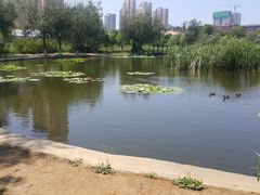 -前关湿地公园