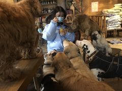 -萌喵咖啡屋(人民东路4号口M16商铺店)