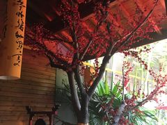 -西安国际创新人才交流中心•药浴温泉