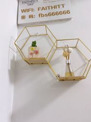 -凡碧诗毛孔收细