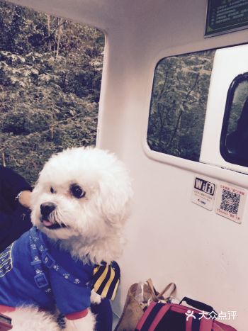 十里画廊真的是名不虚传，一路航美景不断