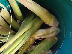 -小陆莲花蟹园农家乐(莲花岛店)
