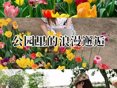 -石家庄市植物园