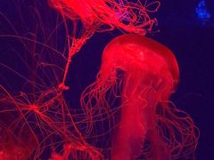 -波塞冬旅游度假区