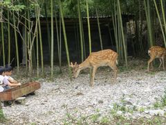 -鹿院坪生态旅游景区