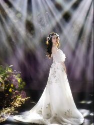 -南昌喜来登酒店·宴会厅