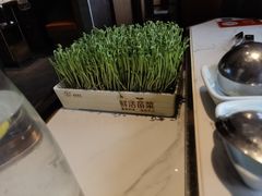 -捞神煲汤火锅(湖滨商业街店)