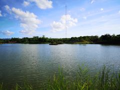 -福田红树林生态公园