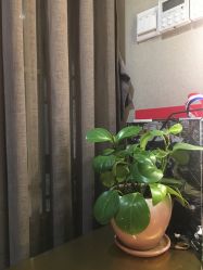 -盘子女人坊古装写真摄影(厦门总店)