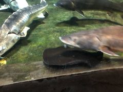 -左海海底世界
