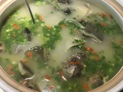 野生水鱼-田趣园长沙菜(天安云谷店)