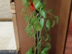 -红菜坊·烤鸭·川鲁宴(石园店)