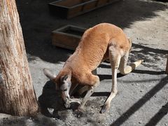 -水上乐园·欢乐世界