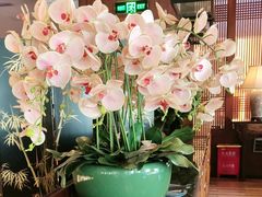 -八府香鸭·啫啫煲(华山路店)