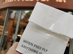 -WHEN PIGS FLY当猪飞