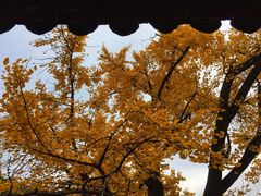 -无锡惠山寺